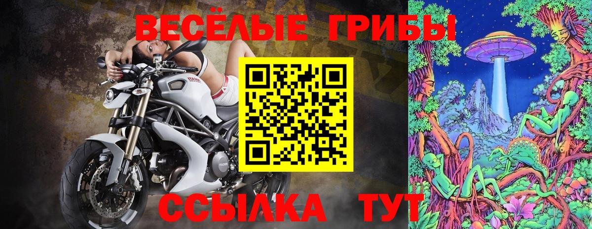 Псилоцибиновые грибы MAGIC MUSHROOMS Пенза